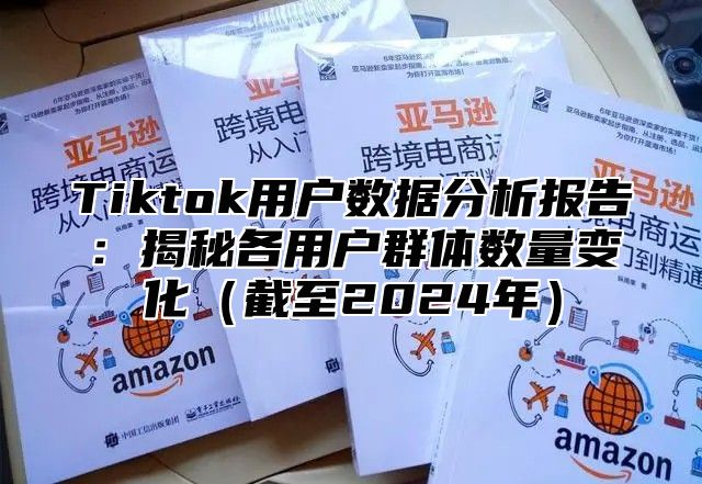 Tiktok用户数据分析报告：揭秘各用户群体数量变化截至2025年