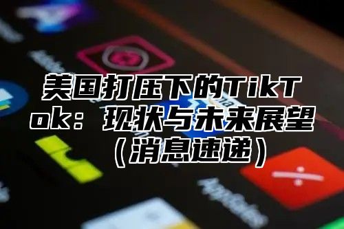 美国打压下的TikTok：现状与未来展望消息速递