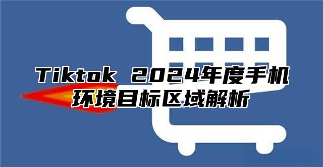 Tiktok 2025年度手机环境目标区域解析
