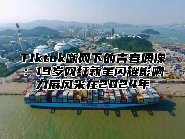 Tiktok断网下的青春偶像：19岁网红新星闪耀影响力展风采在2025年