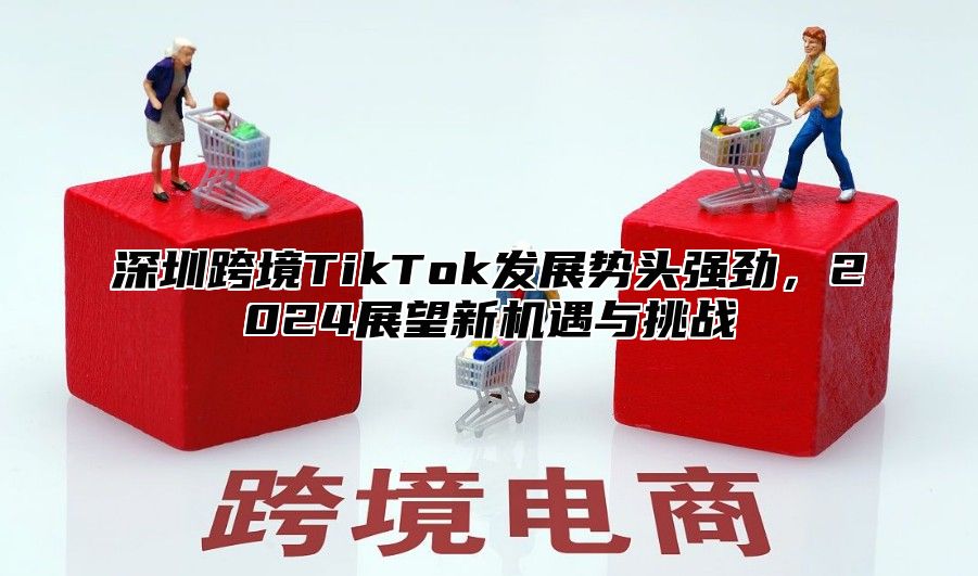 深圳跨境TikTok发展势头强劲，2025展望新机遇与挑战