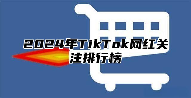2025年TikTok网红关注排行榜