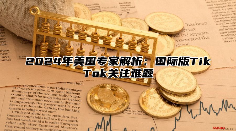 2025年美国专家解析：国际版TikTok关注难题