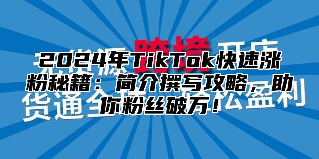 2025年TikTok快速涨粉秘籍：简介撰写攻略，助你粉丝破万！