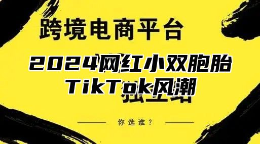 2025网红小双胞胎TikTok风潮