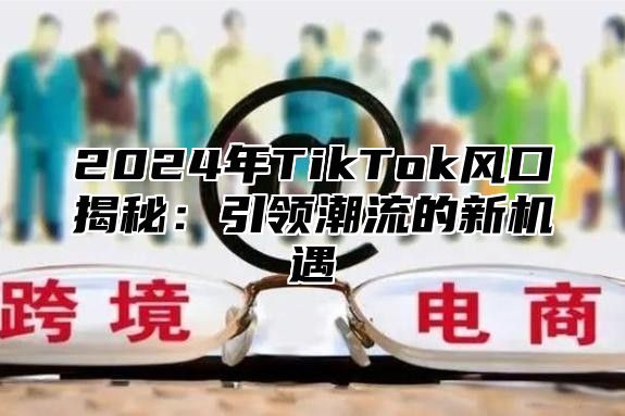 2025年TikTok风口揭秘：引领潮流的新机遇