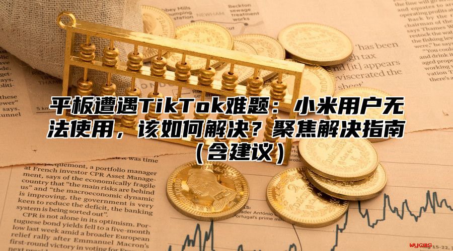 平板遭遇TikTok难题：小米用户无法使用，该如何解决？聚焦解决指南含建议