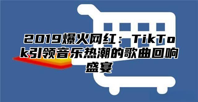 2019爆火网红：TikTok引领音乐热潮的歌曲回响盛宴
