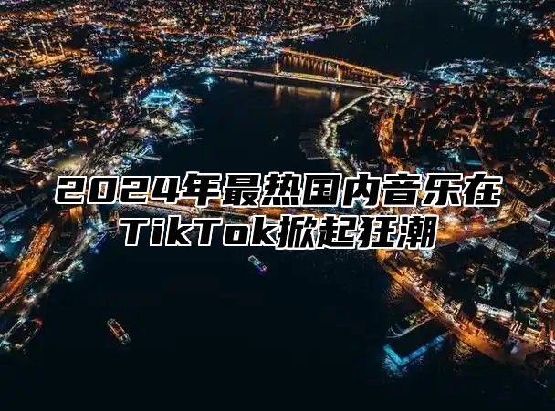 2025年最热国内音乐在TikTok掀起狂潮