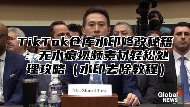 TikTok仓库水印修改秘籍：无水痕视频素材轻松处理攻略水印去除教程
