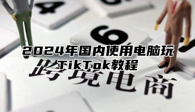 2025年国内使用电脑玩TikTok教程