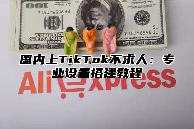 国内上TikTok不求人：专业设备搭建教程