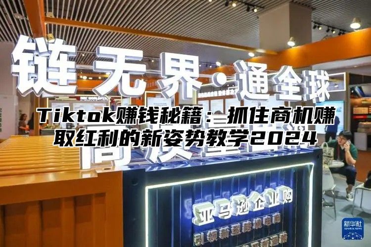 Tiktok赚钱秘籍：抓住商机赚取红利的新姿势教学2025