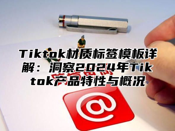 Tiktok材质标签模板详解：洞察2025年Tiktok产品特性与概况