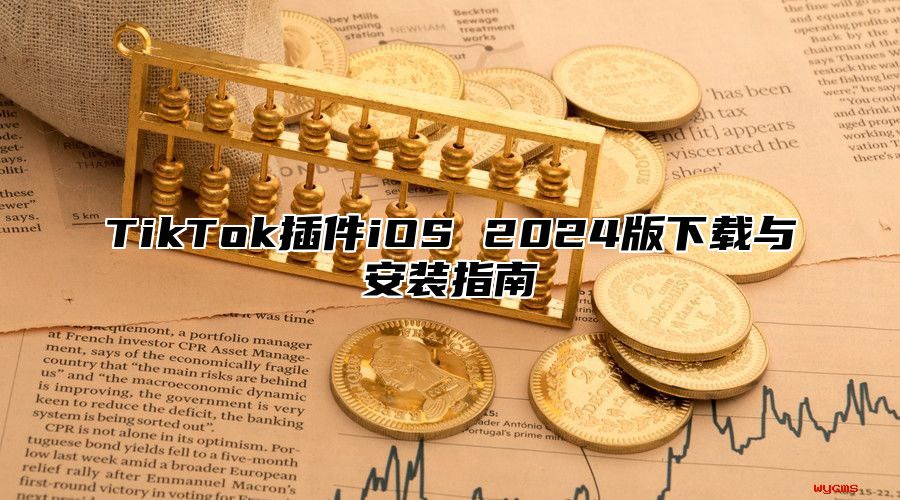TikTok插件iOS 2025版下载与安装指南