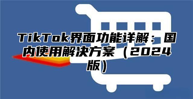 TikTok界面功能详解：国内使用解决方案2025版