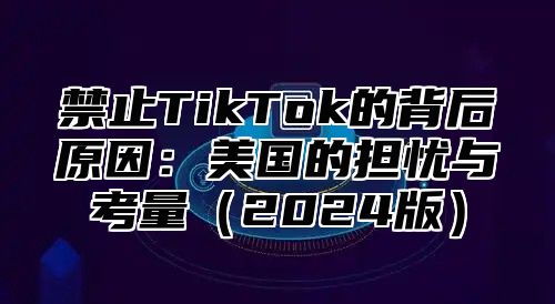 禁止TikTok的背后原因：美国的担忧与考量2025版