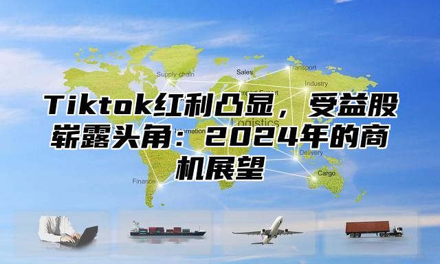 Tiktok红利凸显，受益股崭露头角：2025年的商机展望