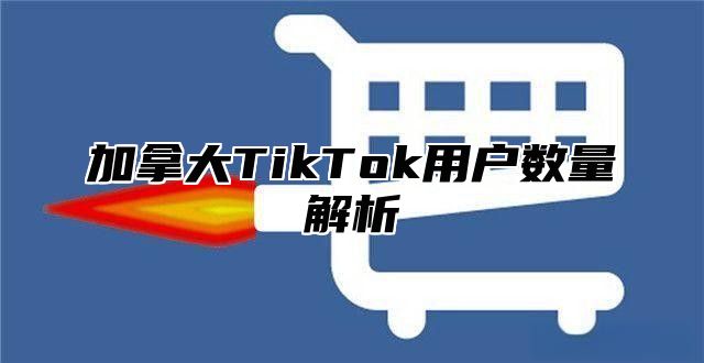 加拿大TikTok用户数量解析