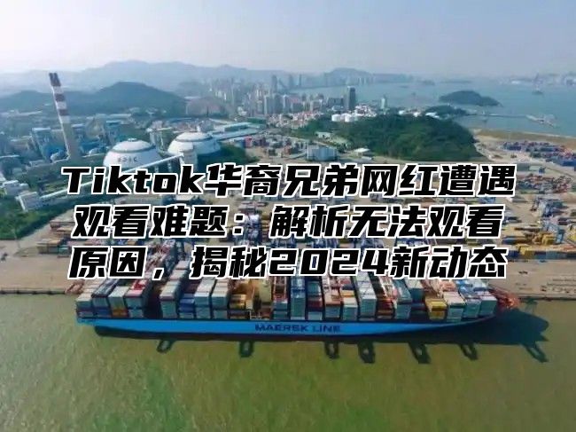 Tiktok华裔兄弟网红遭遇观看难题：解析无法观看原因，揭秘2025新动态