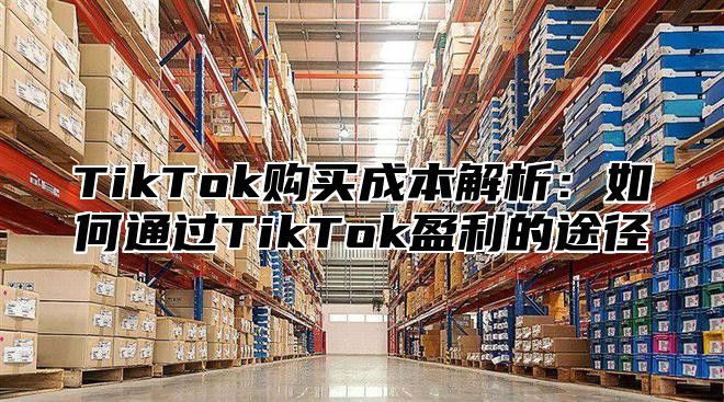 TikTok购买成本解析：如何通过TikTok盈利的途径