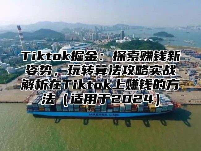 Tiktok掘金：探索赚钱新姿势，玩转算法攻略实战解析在Tiktok上赚钱的方法适用于2025