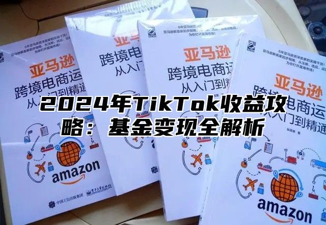 2025年TikTok收益攻略：基金变现全解析