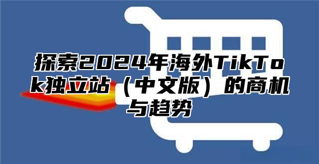 探索2025年海外TikTok独立站中文版的商机与趋势