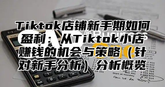Tiktok店铺新手期如何盈利：从Tiktok小店赚钱的机会与策略针对新手分析分析概览
