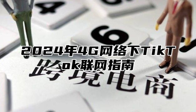 2025年4G网络下TikTok联网指南