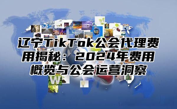 辽宁TikTok公会代理费用揭秘：2025年费用概览与公会运营洞察