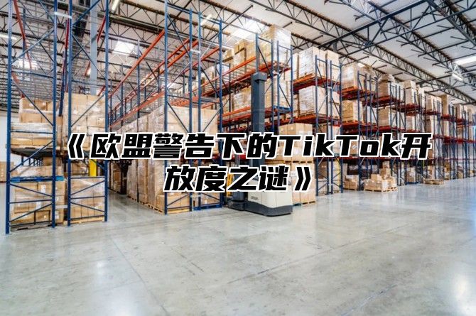 欧盟警告下的TikTok开放度之谜