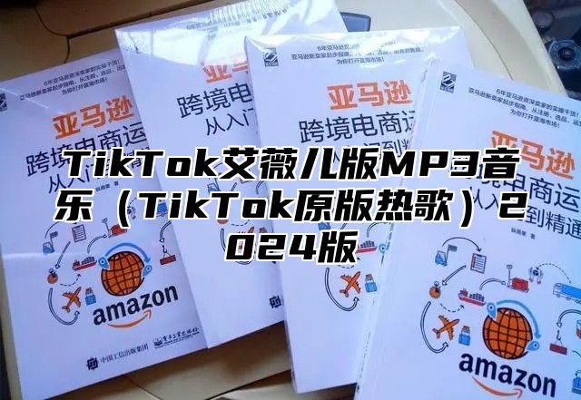 TikTok艾薇儿版MP3音乐TikTok原版热歌2025版