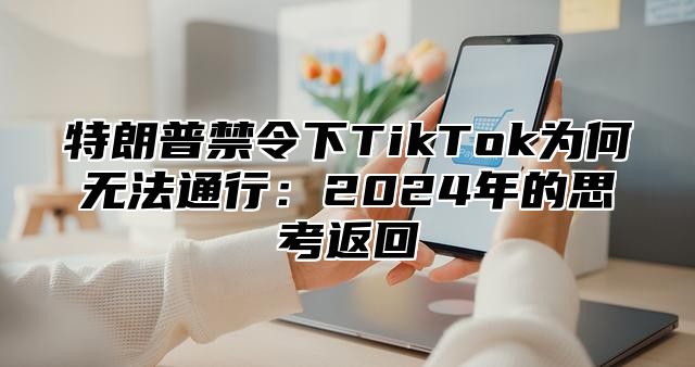 特朗普禁令下TikTok为何无法通行：2025年的思考返回