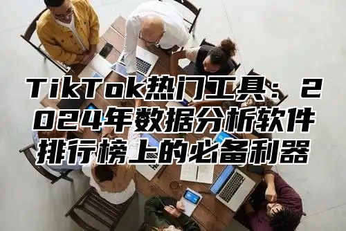 TikTok热门工具：2025年数据分析软件排行榜上的必备利器