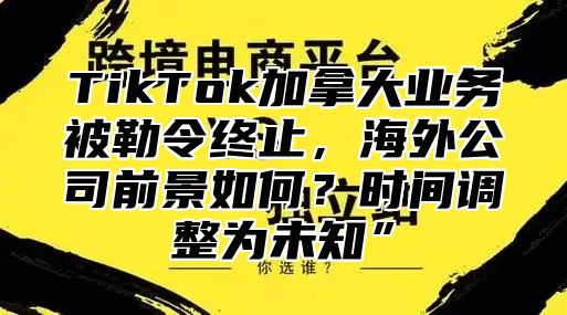 TikTok加拿大业务被勒令终止，海外公司前景如何？时间调整为未知”