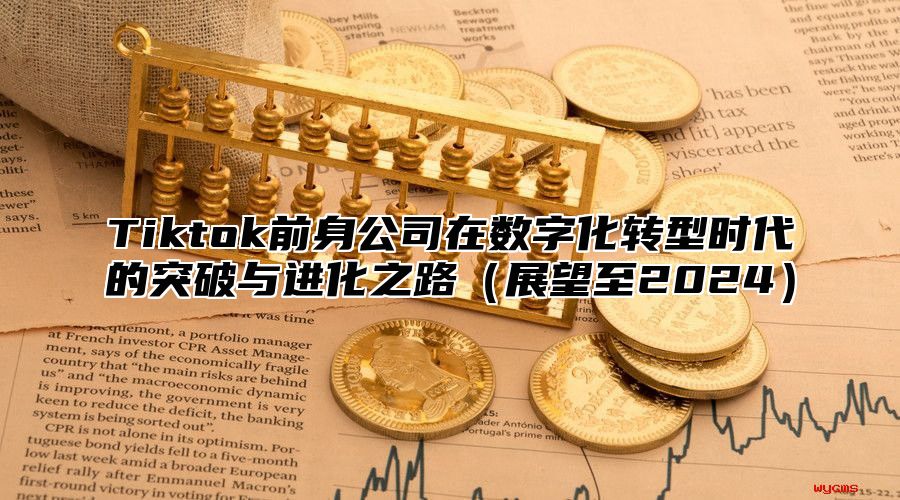 Tiktok前身公司在数字化转型时代的突破与进化之路展望至2025