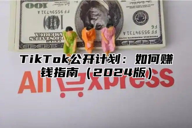 TikTok公开计划：如何赚钱指南2025版