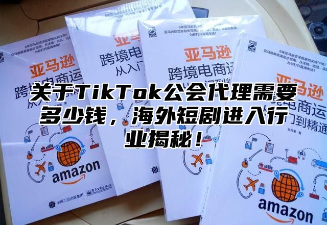 关于TikTok公会代理需要多少钱，海外短剧进入行业揭秘！