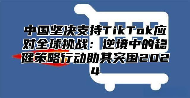 中国坚决支持TikTok应对全球挑战：逆境中的稳健策略行动助其突围2025