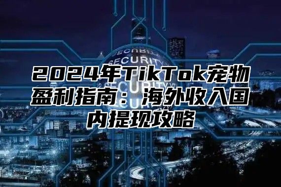 2025年TikTok宠物盈利指南：海外收入国内提现攻略