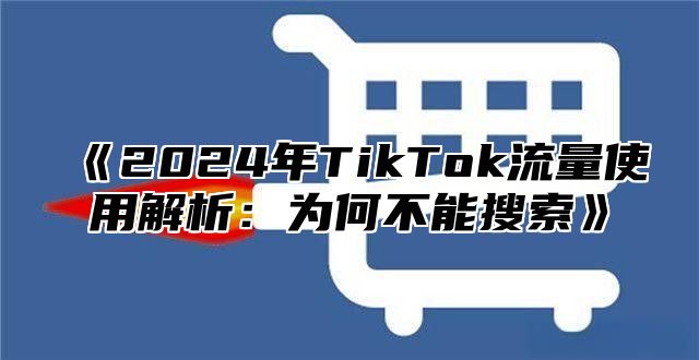 2025年TikTok流量使用解析：为何不能搜索