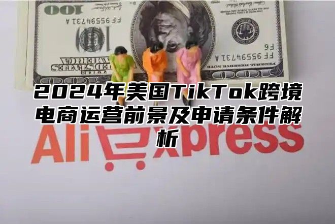 2025年美国TikTok跨境电商运营前景及申请条件解析