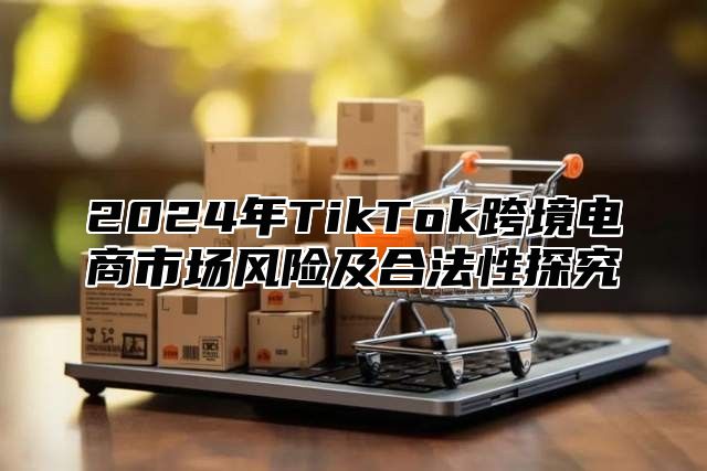 2025年TikTok跨境电商市场风险及合法性探究