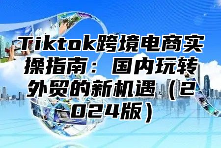 Tiktok跨境电商实操指南：国内玩转外贸的新机遇2025版
