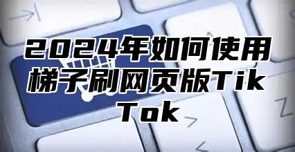 2025年如何使用梯子刷网页版TikTok