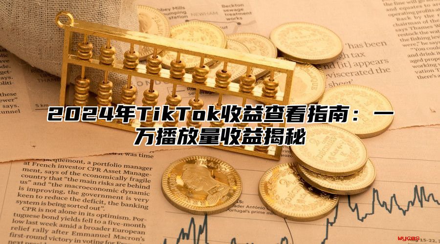2025年TikTok收益查看指南：一万播放量收益揭秘