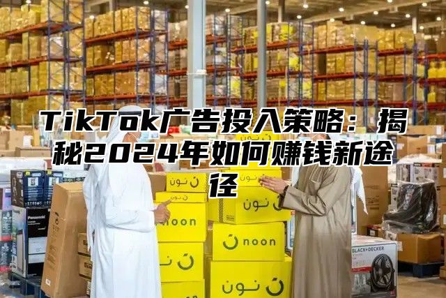 TikTok广告投入策略：揭秘2025年如何赚钱新途径