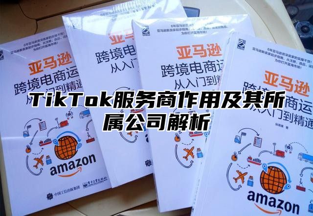 TikTok服务商作用及其所属公司解析