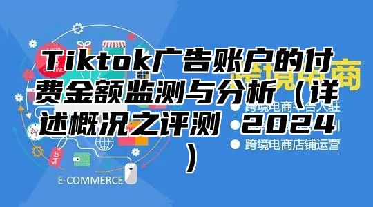 Tiktok广告账户的付费金额监测与分析详述概况之评测 2025